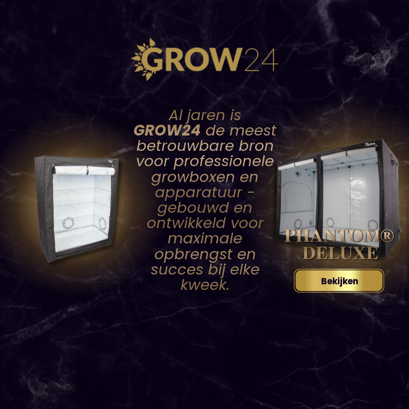 Grow24 Shop Banner