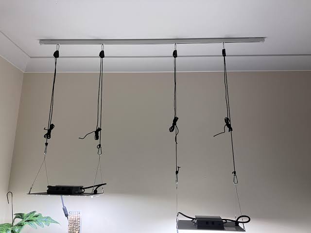 Pflanzenlampen aufhängen & einstellen: Abstand & PAR-Werte für maximalen Ertrag
