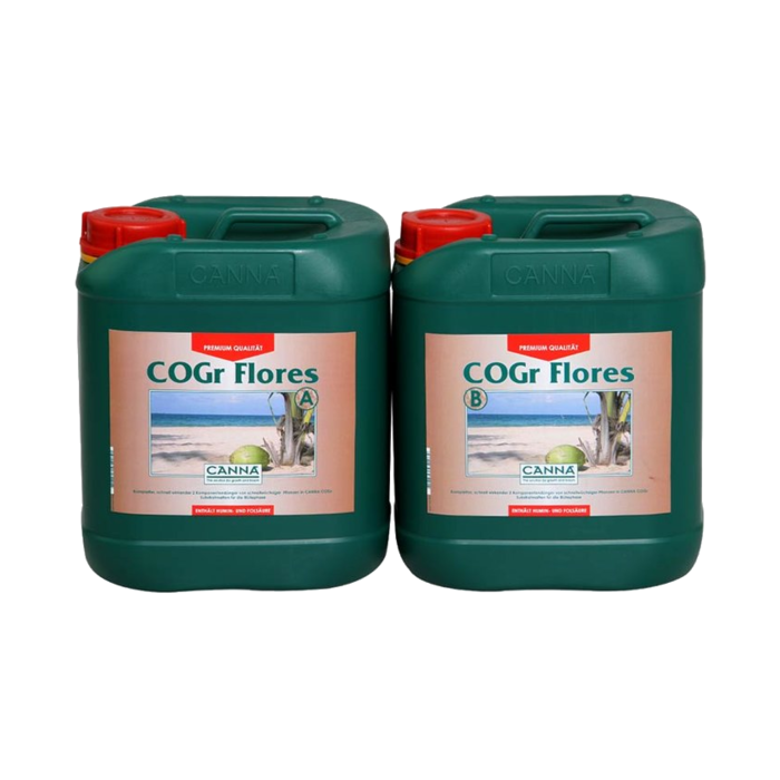 Canna COGr Flores A&B