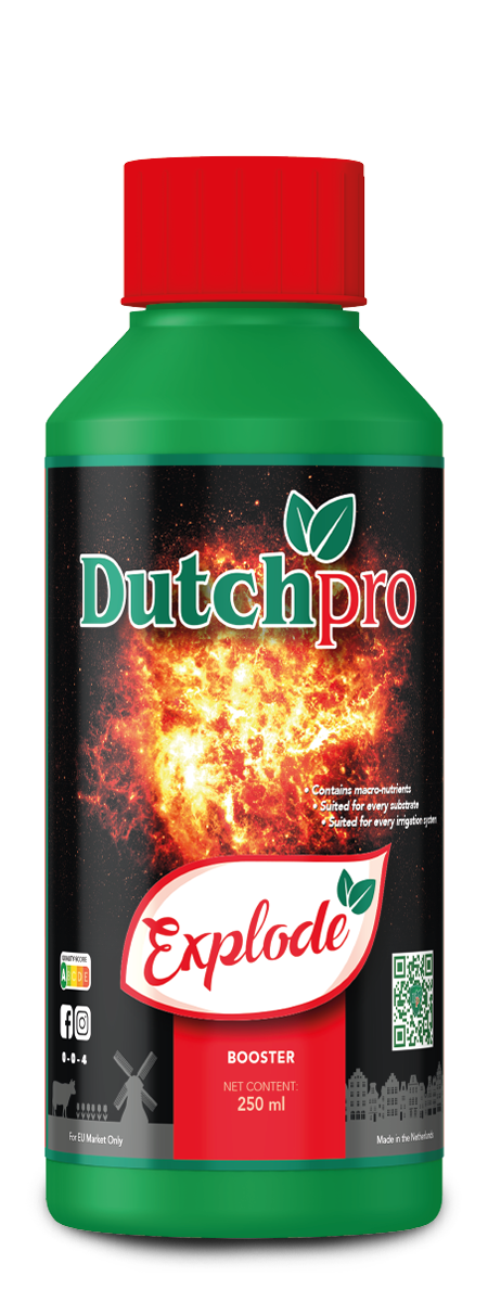 Dutchpro Explode