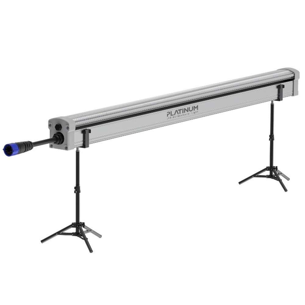 Under-Canopy Grow-Lampen: Ertrag, Qualität & Farbe drastisch steigern