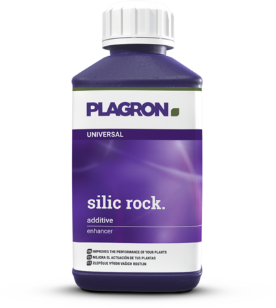 Plagron Silic Rock
