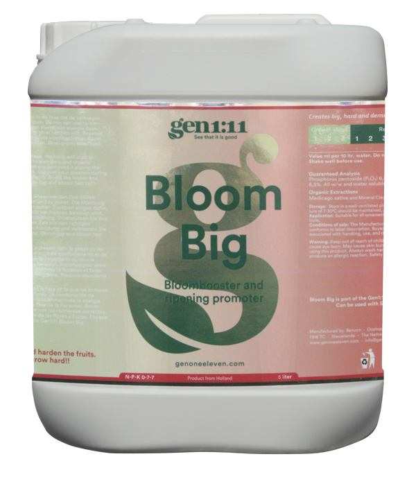 Bloom Big