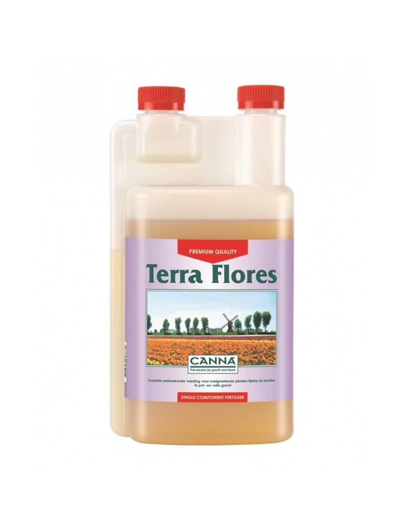 Canna Terra Flores