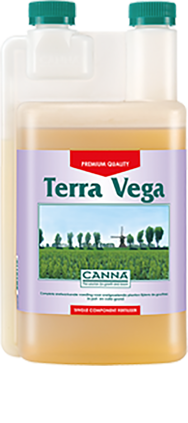 Canna Terra Vega