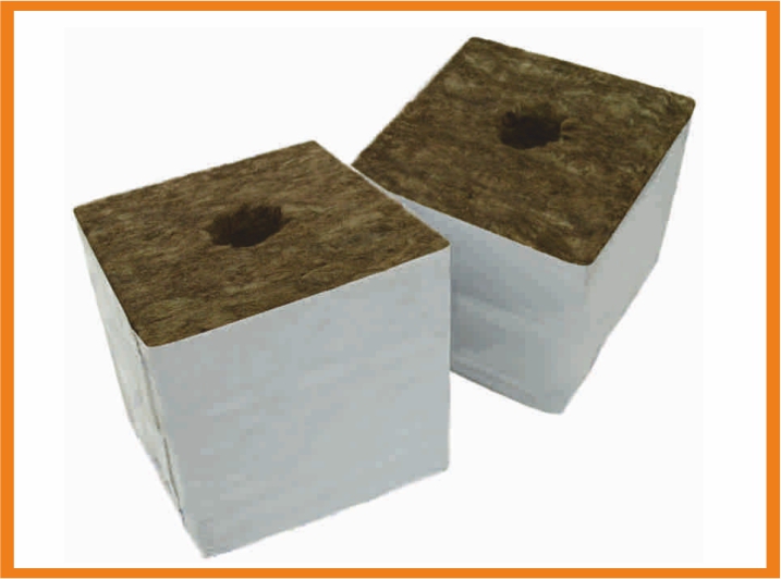 Speedgrow Startblöcke 7,5 x 7,5 x 6,5cm 