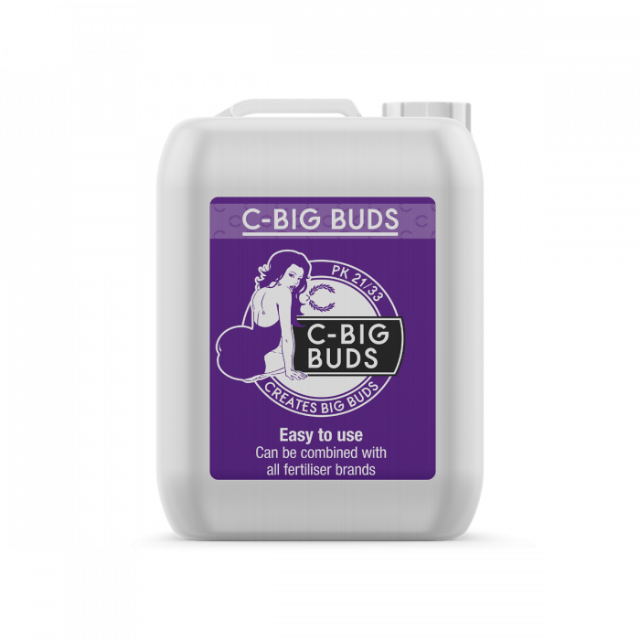 C-Big Buds
