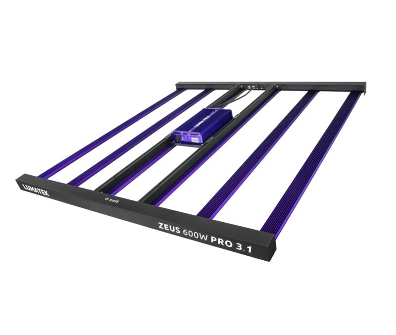 Lumatek ZEUS 600W Pro 3.1 LED
