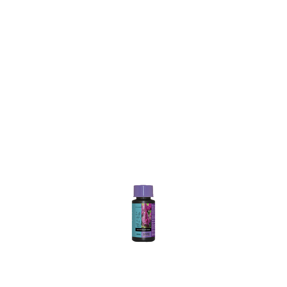 B-cuzz-Blossom-Builder-Liquid-100ml B'cuzz Blossem Builder Liquid 100 ml