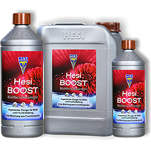 Hesi Boost