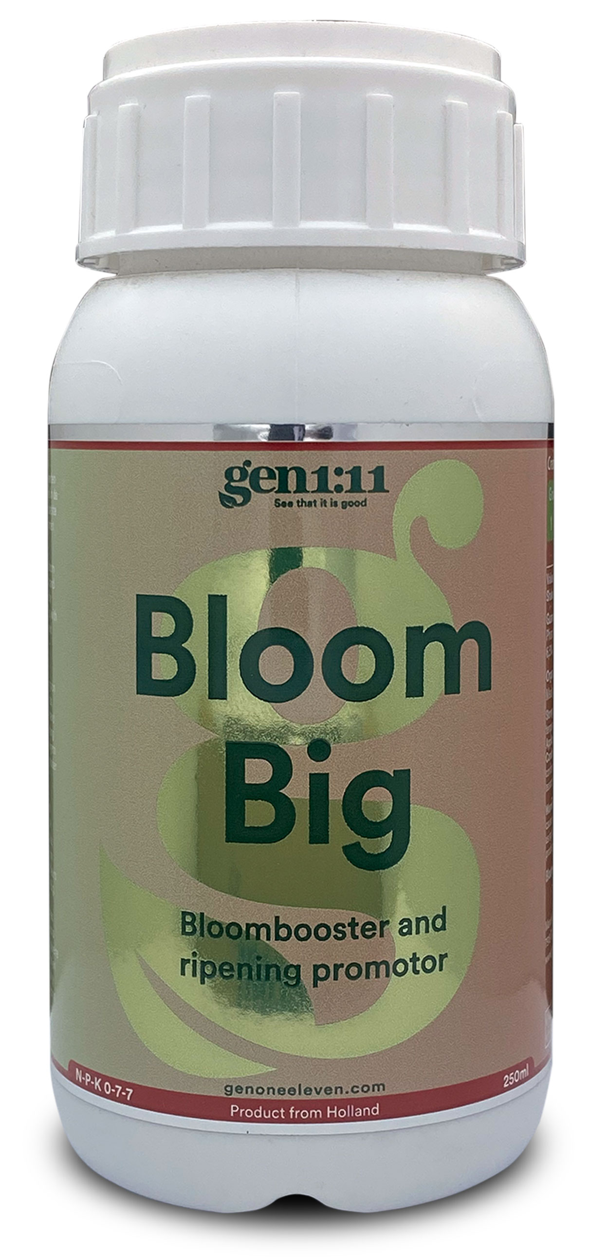 Bloom Big