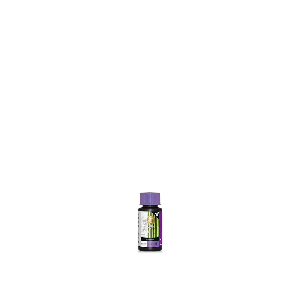 B-cuzz-Silic-Boost-100ml B'cuzz Silic Boost 100 ml