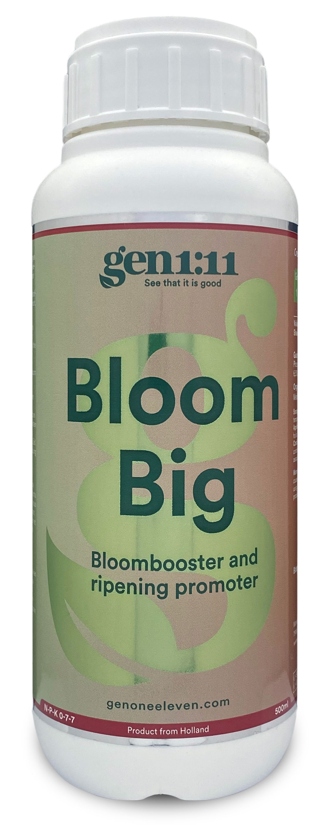 Bloom Big