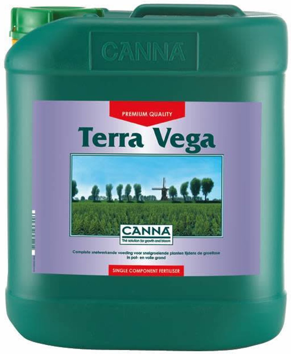 Canna Terra Vega