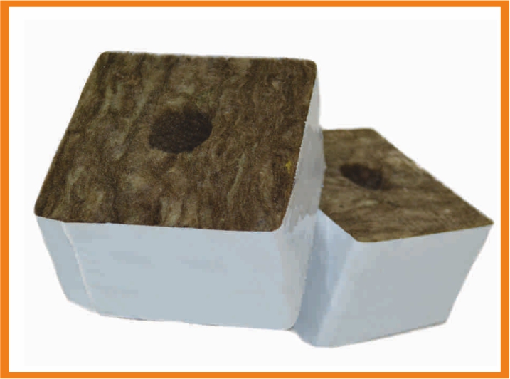 Speedgrow Startblock 10x10x6,5 cm – großes Loch 38/35 mm