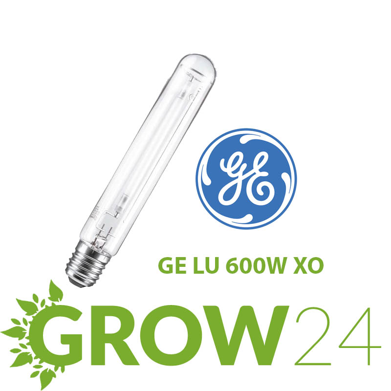 GE LU 600W XO  Leuchtmittel