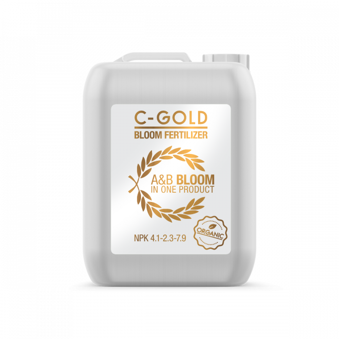 C-GOLD Blüte