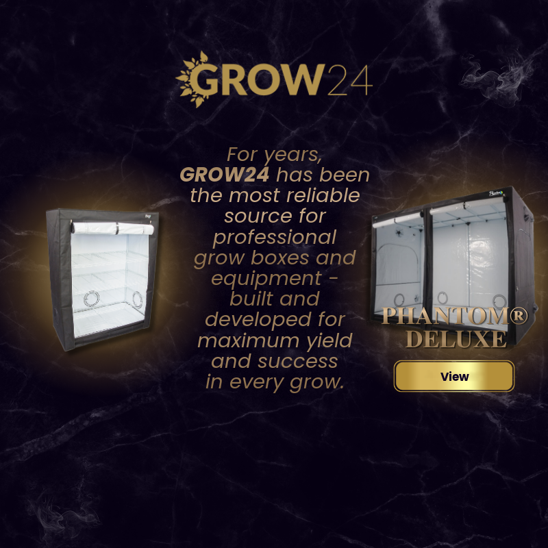 Grow24 Shop Banner