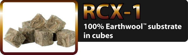 RCX-1