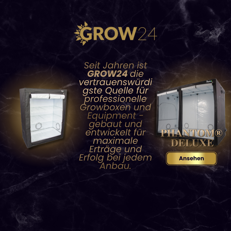 Grow24 Shop Banner